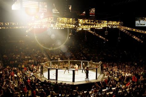 UFC's Main Event on Saturday Spotlights MMA Head Injuries