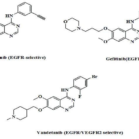 Structures of EGFR tyrosine kinase inhibitors | Download Scientific Diagram