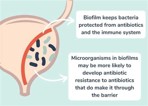 Uqora: UTIs? Here's why you need to know about biofilm | Milled