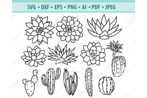 Cactus SVG, Succulents SVG, Plants Clipart Dxf, Png, Eps