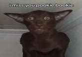 miss you pookie | Pookie | Know Your Meme