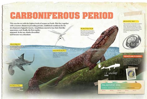 Carboniferous Period Digital Art by Album - Pixels