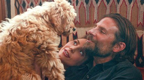 Bradley Cooper's dog Charlie merits Oscar for "A Star Is Born" — Quartz