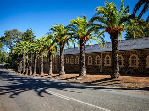 Barossa Heritage Drive | Barossa