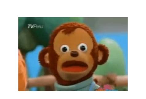 Surprised Monkey Animated Gif Maker - Piñata Farms - The best meme ...