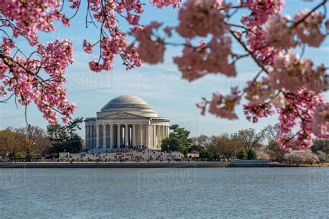 Thomas Jefferson Memorial, Tidal Basin and cherry blossom trees ...