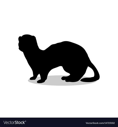 Ferret weasel ermine mammal black silhouette Vector Image