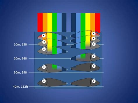 Bait Color Fishing Lure Color Selection Chart