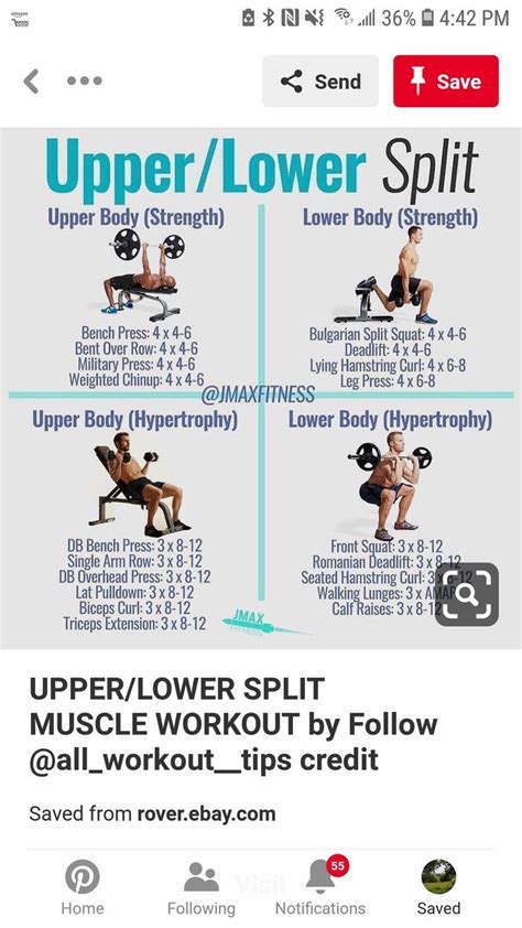 Upper/lower split | Lower body workout, Full body workout plan, Lower ...