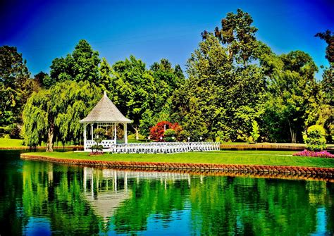 Download Reflection Pond Tree Grass Green Summer Gazebo Man Made ...