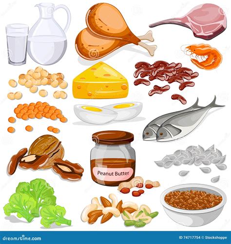 Examples Of Proteins In Foods