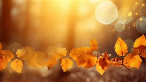 Autumnal Equinox Stock Photos, Images and Backgrounds for Free Download