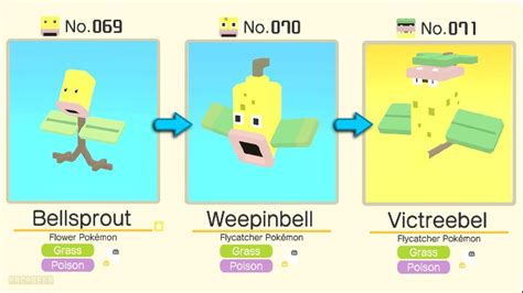 Bellsprout Evolution Chart