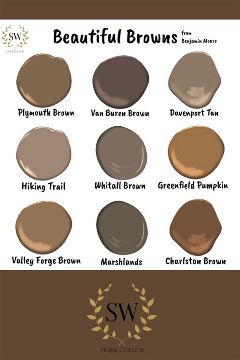 Guide to Brown | Brown paint colors, Shades of brown paint, Paint color ...