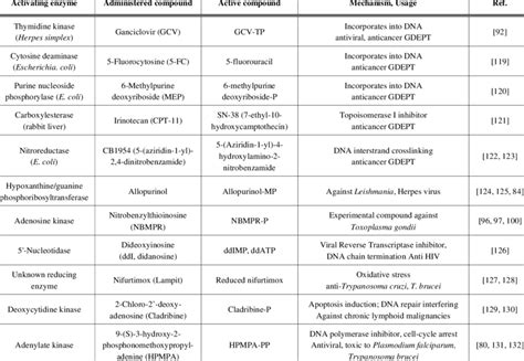 Enzymes and their Substrates for Metabolic Drug Targeting | Download Table