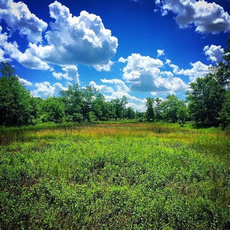 Illinois Beach State Park Is Best Peaceful Park In Illinois