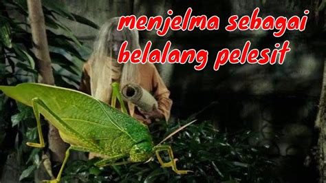 Belalang Pelesit - YouTube