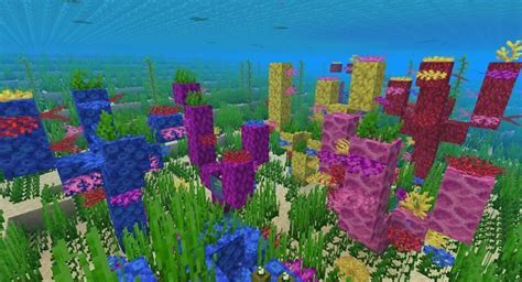 Top 5 best things about ocean biomes in Minecraft