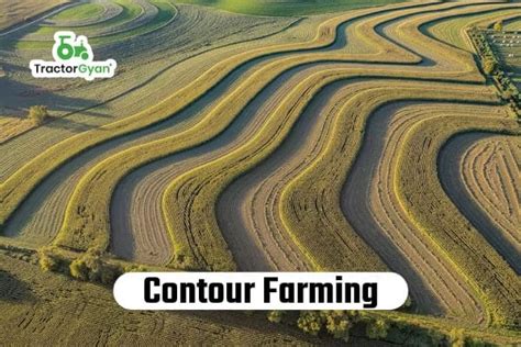 Contour Farming: Process & Benefits (tg983)