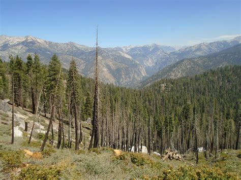 Kings Canyon National Park - Bucketlisted