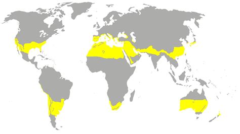 Diferencias tropicales y subtropicales completas con su área de ...