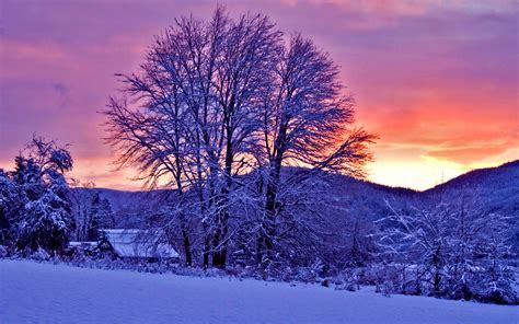 Winter Sunset HD Wallpaper - WallpaperSafari