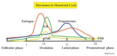 Fsh Levels Chart By Age - Best Picture Of Chart Anyimage.Org