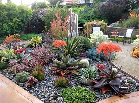 36 Awesome Succulent Front Yard Landscaping Ideas - MAGZHOUSE