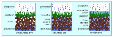 What is ‘Well-Drained Soil’? | The Tree Center™