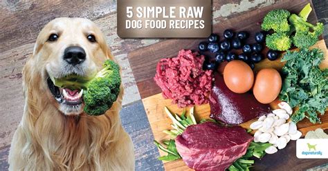 Which Is Better For Dogs Cooked Or Raw Meat