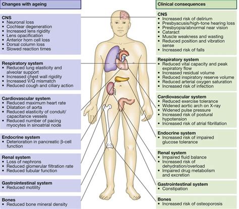 Ageing and disease | Basicmedical Key