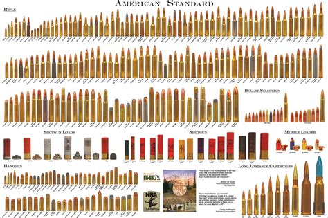 American Standard Bullet Comparison Guide Chart Print Poster | eBay