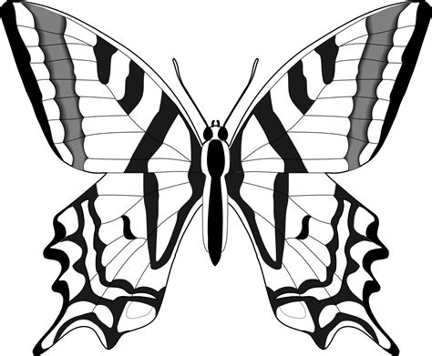 Free Butterfly Clip Art Black And White, Download Free Butterfly Clip ...