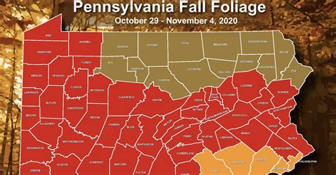 Here’s When Pa. Will Reach Peak Fall Foliage in 2020