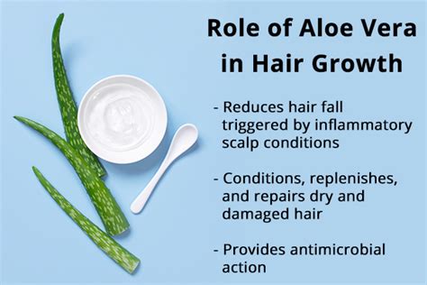 Onion & Aloe Vera for Hair Growth: Benefits & How to Use Them