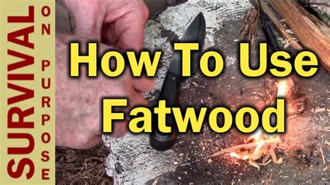 How to use fatwood: Nature's fire-starter