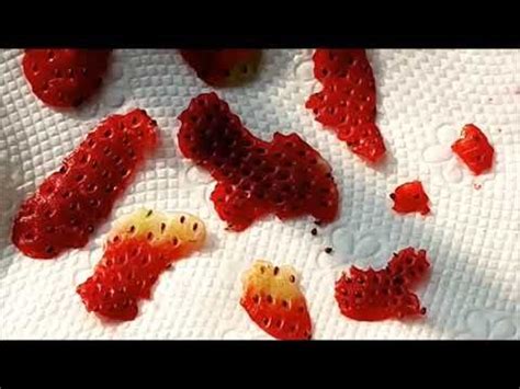 How To Save Strawberry Seeds? | Harvesting Seeds From Fresh ...