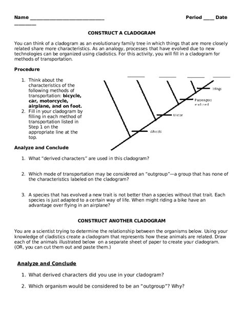 cladogram worksheet answers Doc Template | pdfFiller