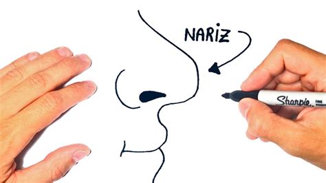 Como dibujar una Nariz | Dibujando una Nariz Humana - YouTube