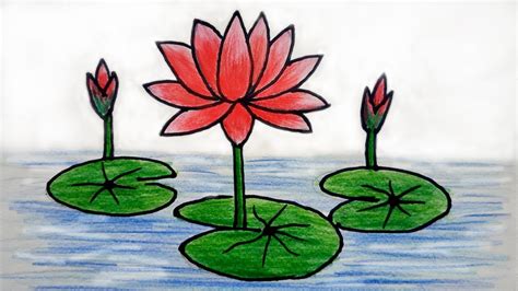 How to Draw Water Lily Step by Step - YouTube