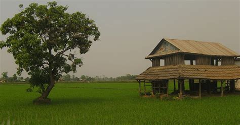 Visit Terai in a tailor-made tour | Evaneos