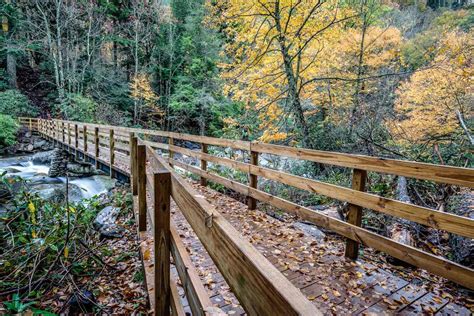 Gatlinburg Hiking Trails Bucket List - Campspot Camp Guide