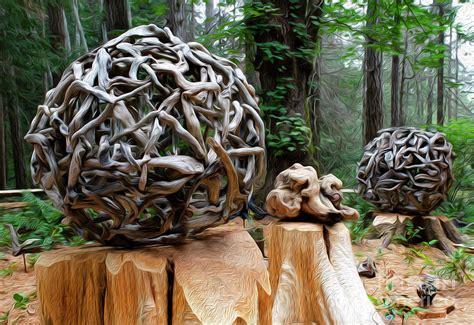 Driftwood Sculpture Photograph by Bob Christopher - Fine Art America