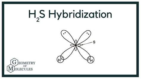 Hybridization of H2S (Hydrogen Sulfide) | Lotus flower tattoo, Flower ...