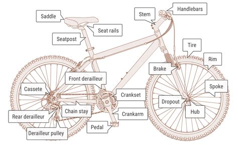 A Guide To Bike Parts And Names For Beginners - BikeLVR