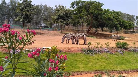 Karnataka National Park