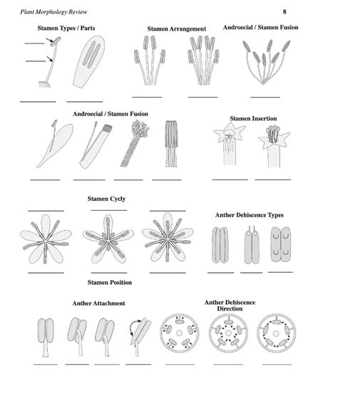 Solved Fill in the blank: What is the Periath Types for | Chegg.com