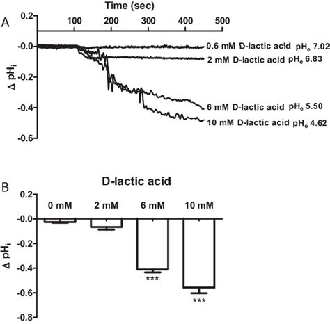 Effect of d-lactic acid on pH i changes. A total of 8 × 10 6 ...