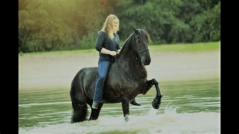 Friesian National Champion Show Horse, to SAFE Schoolmaster https://www ...