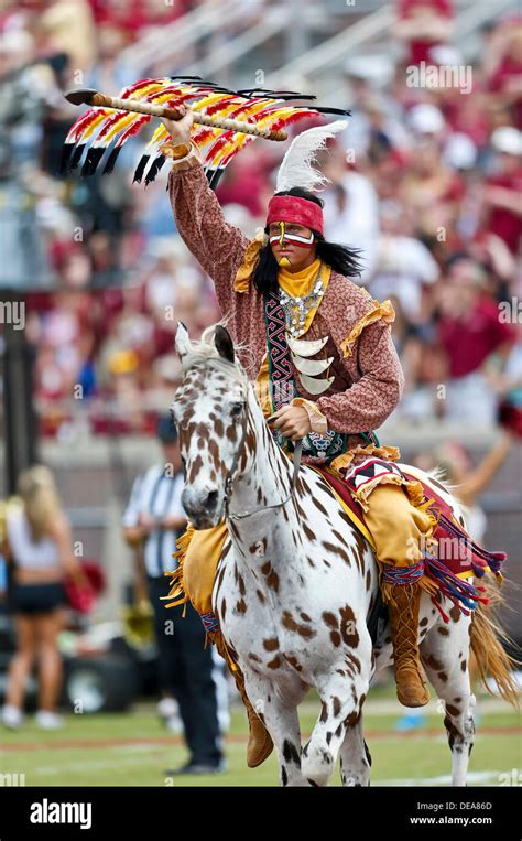 September 14, 2013: Florida State Seminoles mascot Chief Osceola ...